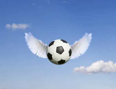 满冠体育APP 图标